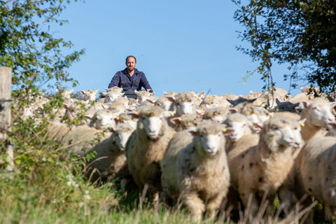 Rooted in Balance: How Farm2Fork is Redefining Farming in Devon