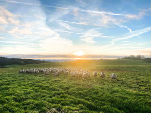 Kickstart Your 2025 with Farm2Fork: Eco-Friendly Resolutions for a Greener, Healthier Future