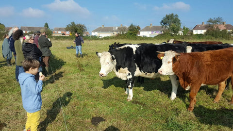 Thank you to everyone who came along to our Pasture Walk!
