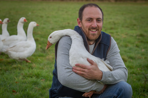 Christmas Goose is making a comeback