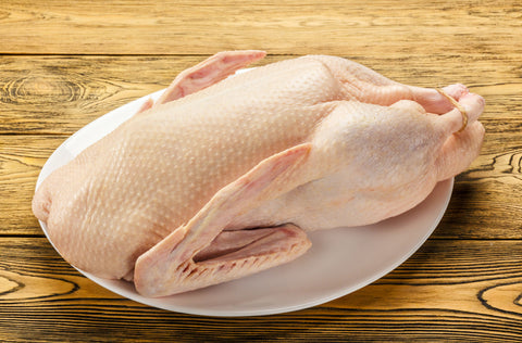 Christmas Goose
