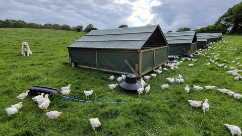 A Quiet Shift In How We Eat