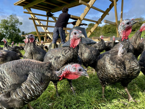 Make a positive impact this Christmas with a Farm2Fork bird