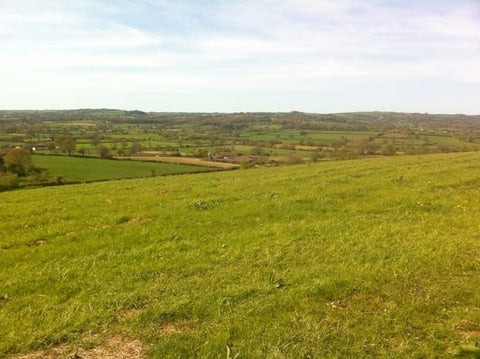 The Move to Greenway Farm
