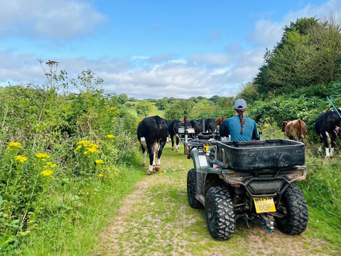 Summer On The Farm: Our Seasonal Rhythm Explained