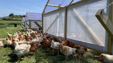 Organic: A price worth paying
