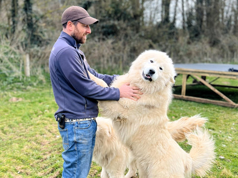 A Year on the Farm, Looking Back and Looking Ahead