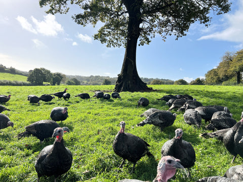 Autumn Abundance at Farm2Fork