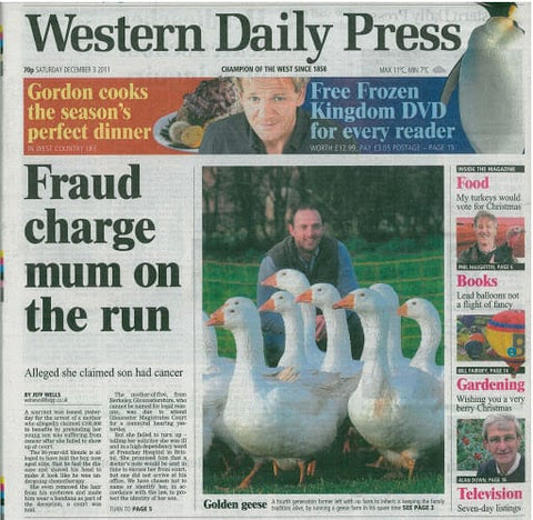 Farmer breeds geese as first solo venture - Western Daily Press 3rd Dec