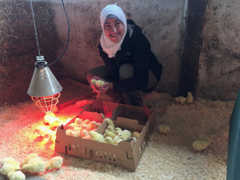 Nisreen shares her day as a volunteer at Farm2Fork