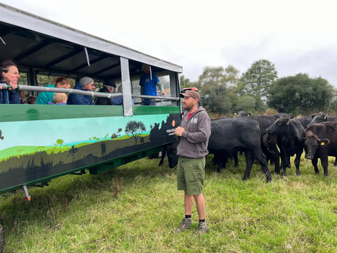 Farmer Ollie speaking to Farm2Fork safari guests beside the cattle